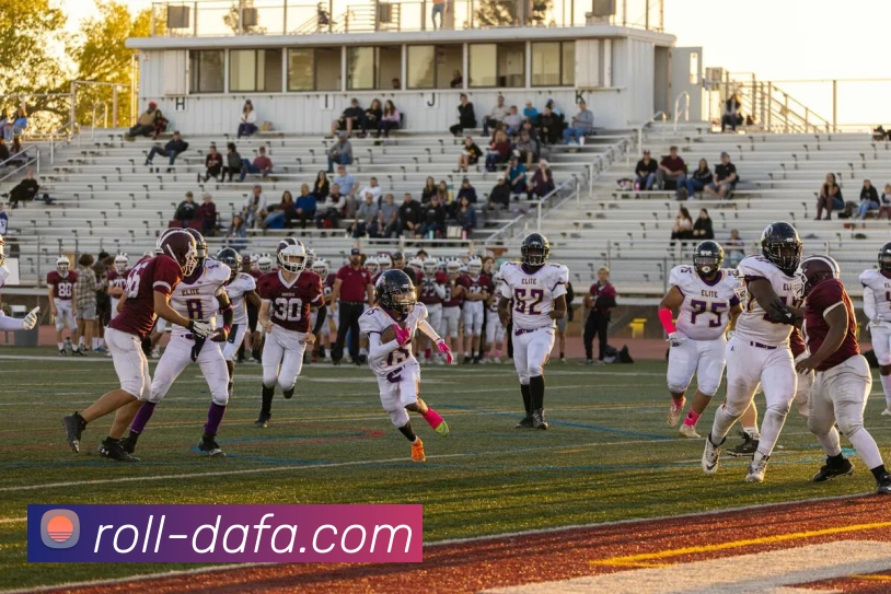 大发官网APP 封面图